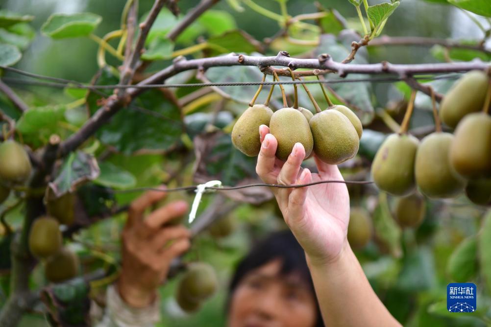 银河在线是什么